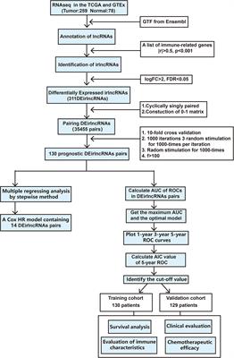 Characterization of Immune-Related Long Non-coding RNAs to Construct a Novel Signature and Predict the Prognosis and Immune Landscape of Soft Tissue Sarcoma